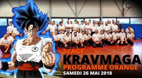 Stage de Krav maga pour la préparation de la ceinture Orange