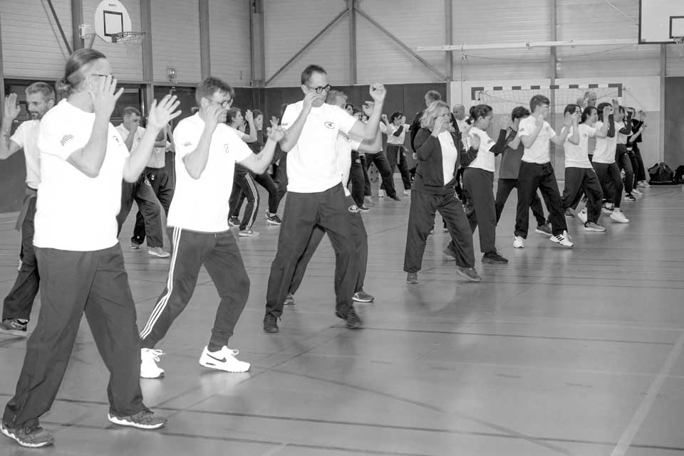 demonstration krav maga self defense quimper finistere