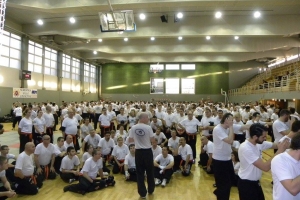 Stage de Krav Maga à Suresnes 2015