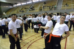 Stage de Krav Maga à Suresnes 2015