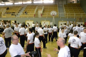 Stage de Krav Maga à Suresnes 2015