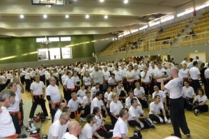 Stage de Krav Maga à Suresnes 2015