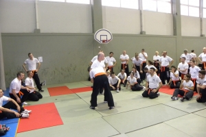 Stage de Krav Maga à Suresnes 2015