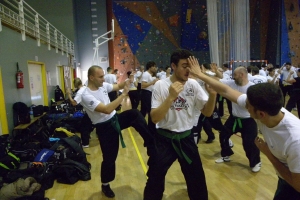 Stage de Krav Maga à Suresnes 2015