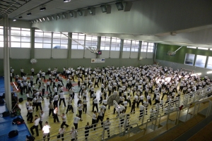 Stage de Krav Maga à Suresnes 2015