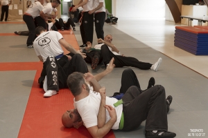 Stage de Krav Maga à Vannes 2015