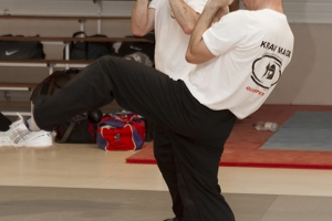 Stage de Krav Maga à Vannes 2015