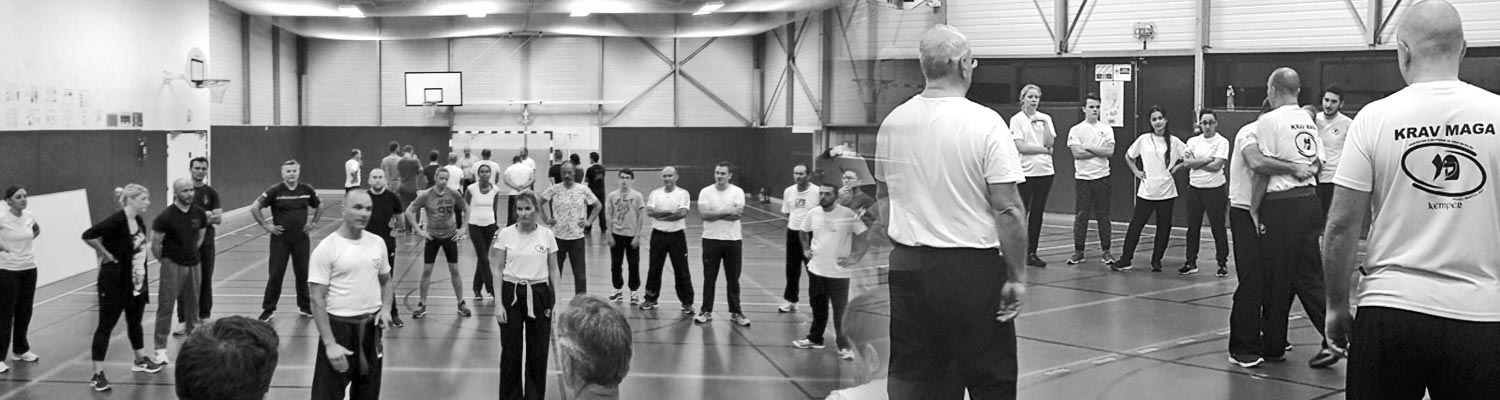 presentation krav maga finistere fekm quimper